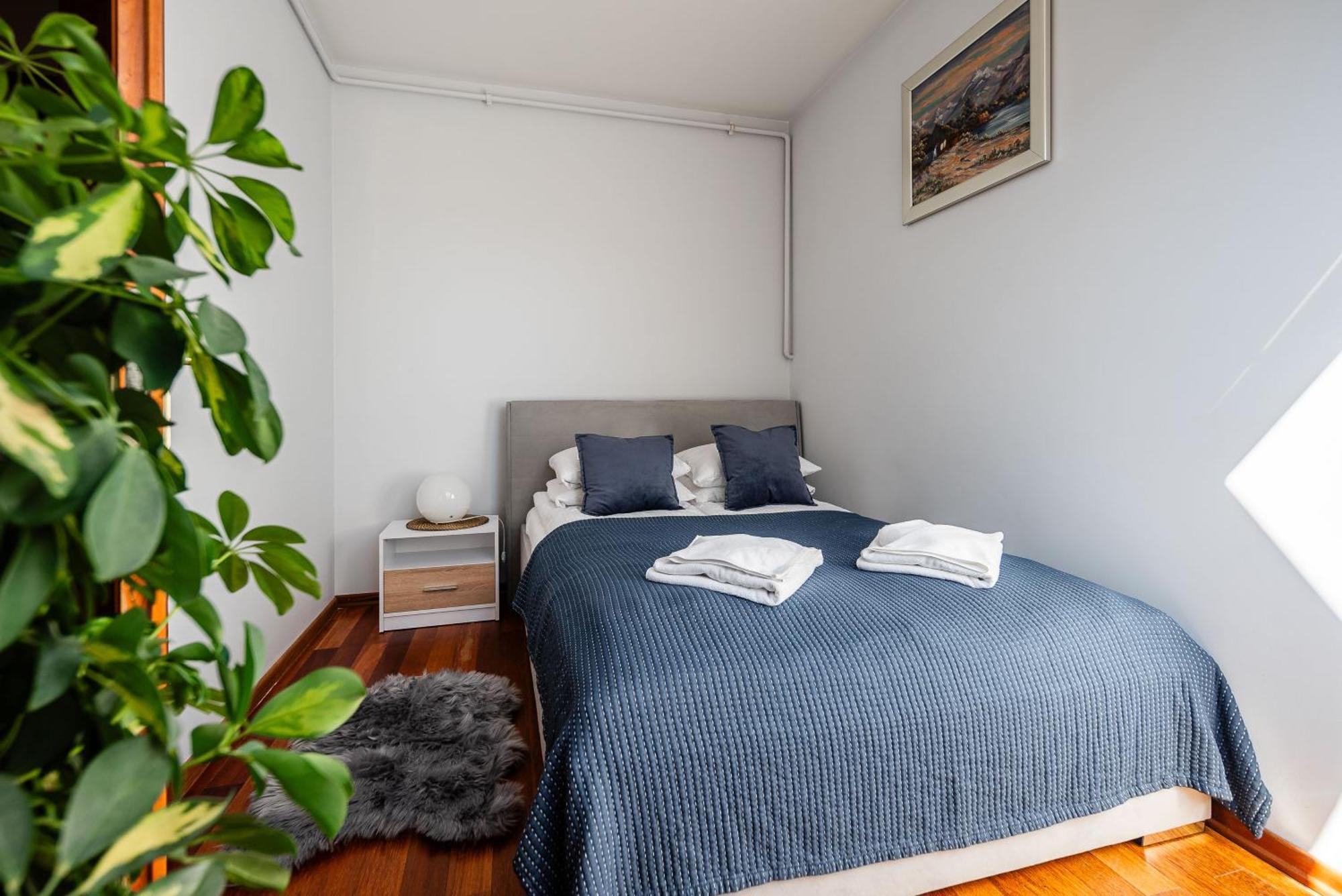 Apartamenty Za Strugiem 자코파네 외부 사진